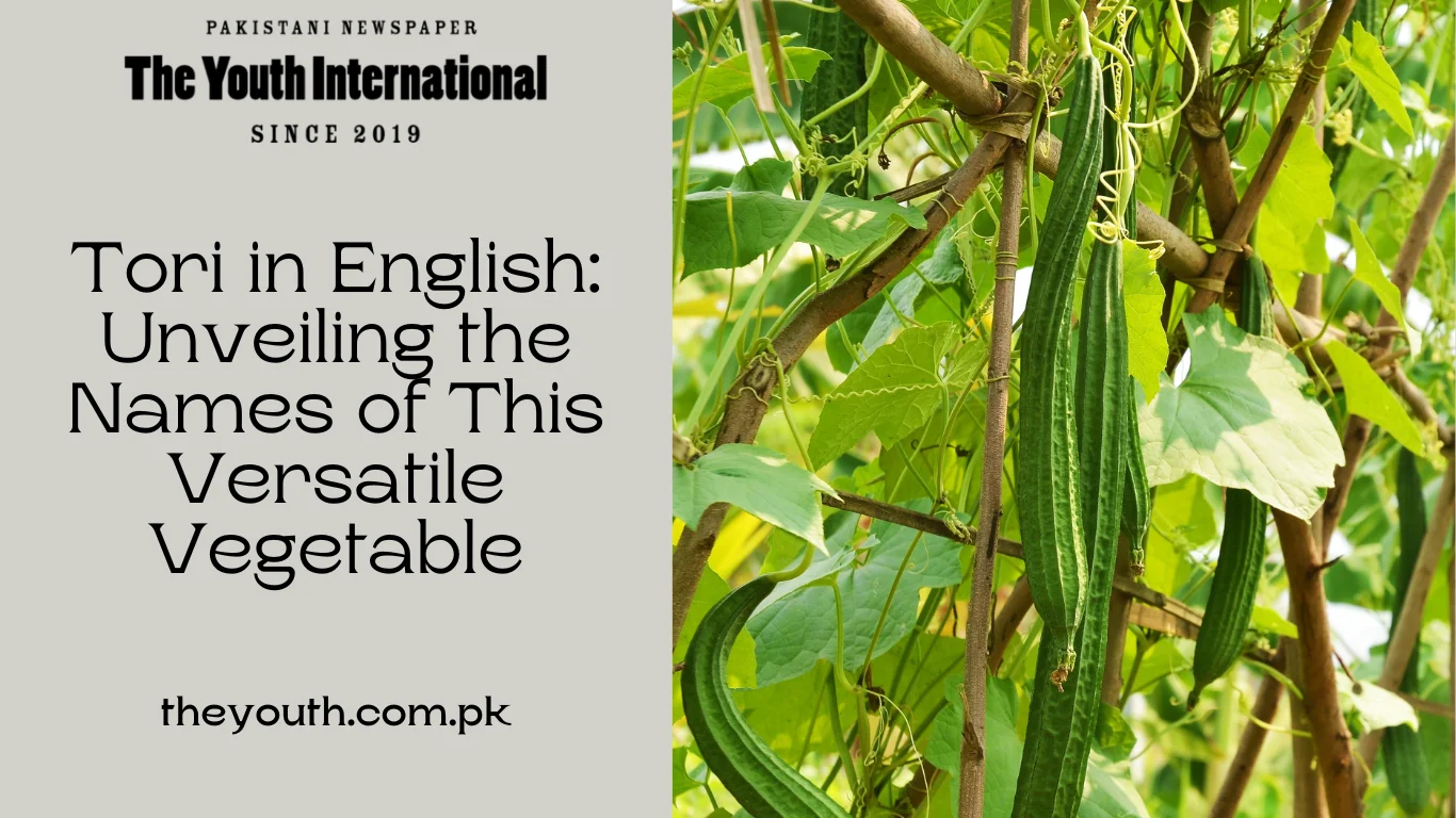 Tori in English: Unveiling the Names of This Versatile Vegetable